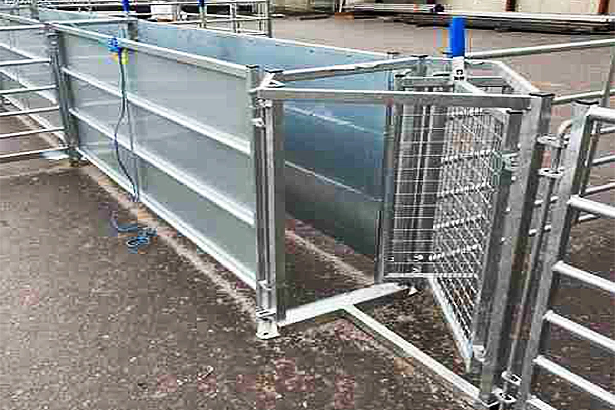 sheep drafting gate Free Sample sheep drafting gate Free Sample